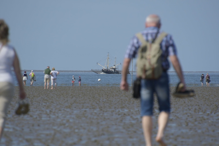 Wattenmeer Büsum